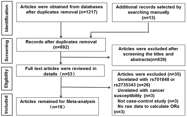 Flow diagram of study selection process.