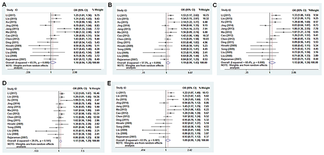 Forest plot of cancer risk associated with rs701848 (T&#x003E;C) models.