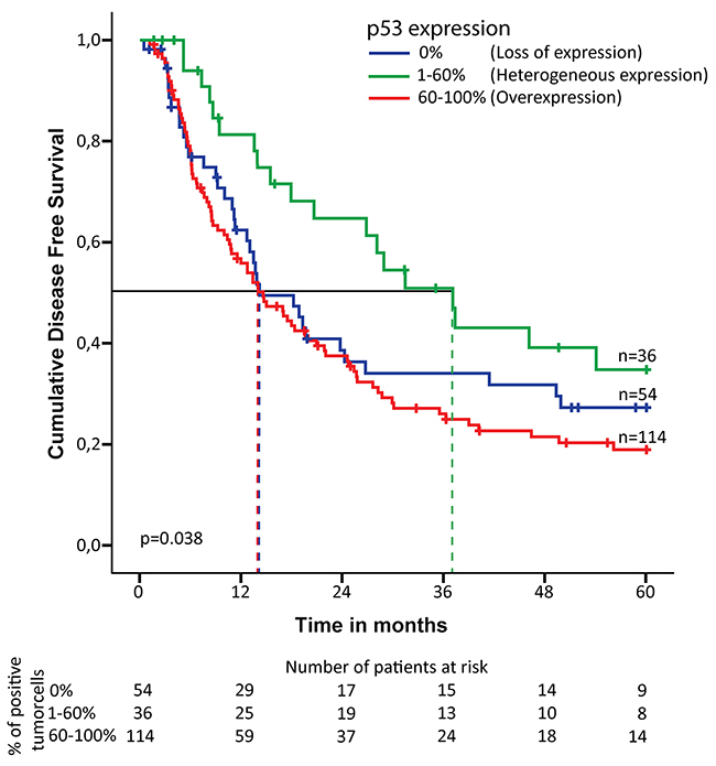 Kaplan-Meier curve for disease free survival in chemoradiotherapy-naive patients with esophageal adenocarcinoma.
