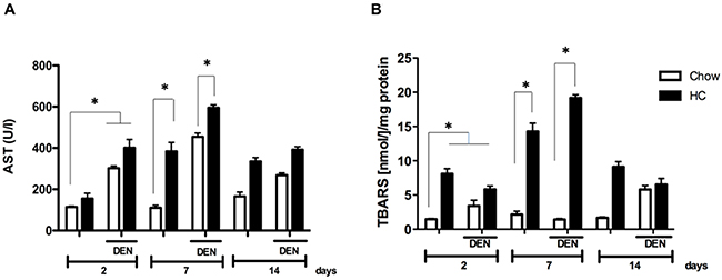 Cholesterol overload in the liver exacerbates the damage induced by N-nitrosodiethylamine.