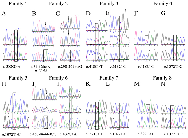 Sequencing chromatograms of variations in CHST6 identified in this study.