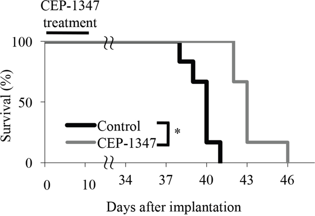 Short-term systemic CEP-1347 treatment inhibits tumor formation by glioma stem cells in an orthotopic brain tumor model.