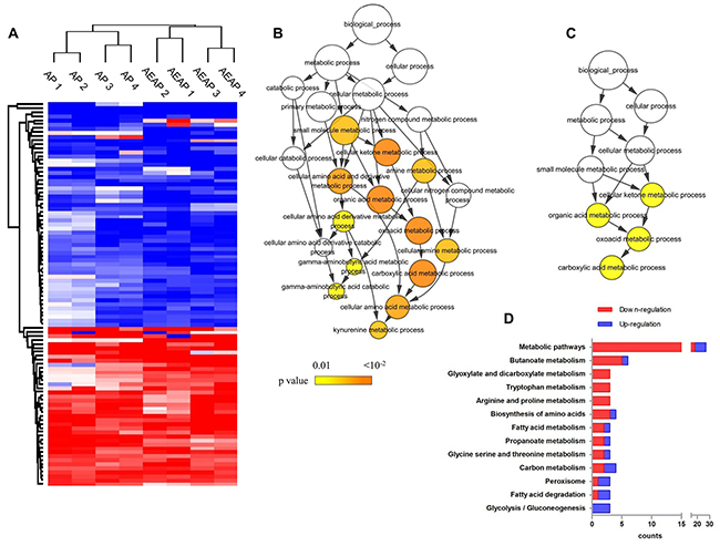 Proteomics data overview.