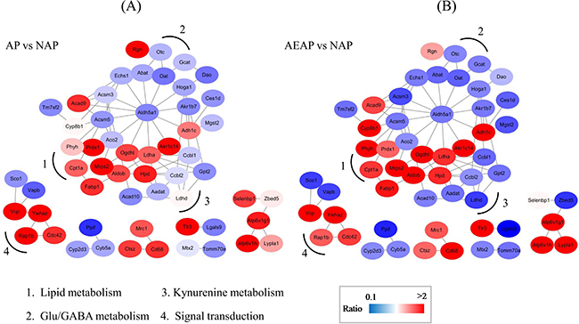 Figure 4: