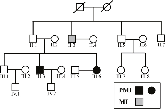 Family tree of the PMI pedigree.