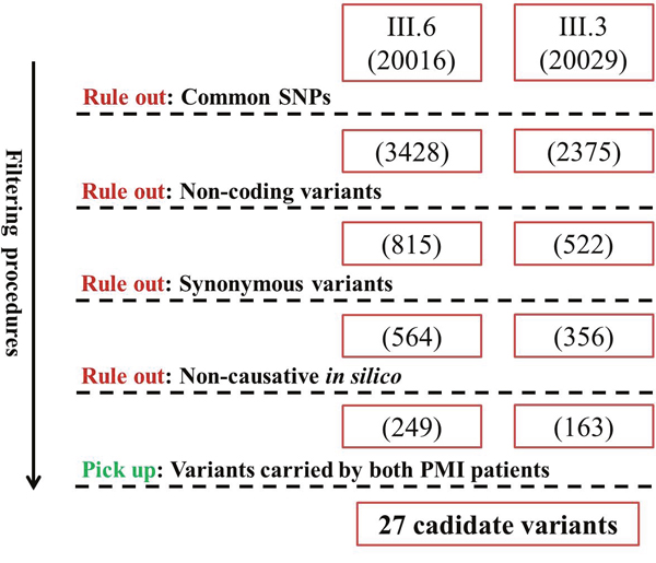 Filtering strategy for candidate variants of PMI.