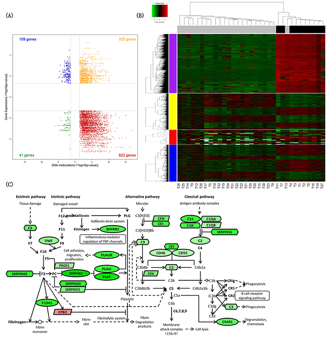 Identification of differential signatures between IDH-mutated and IDH wild-type astrocytic tumors.