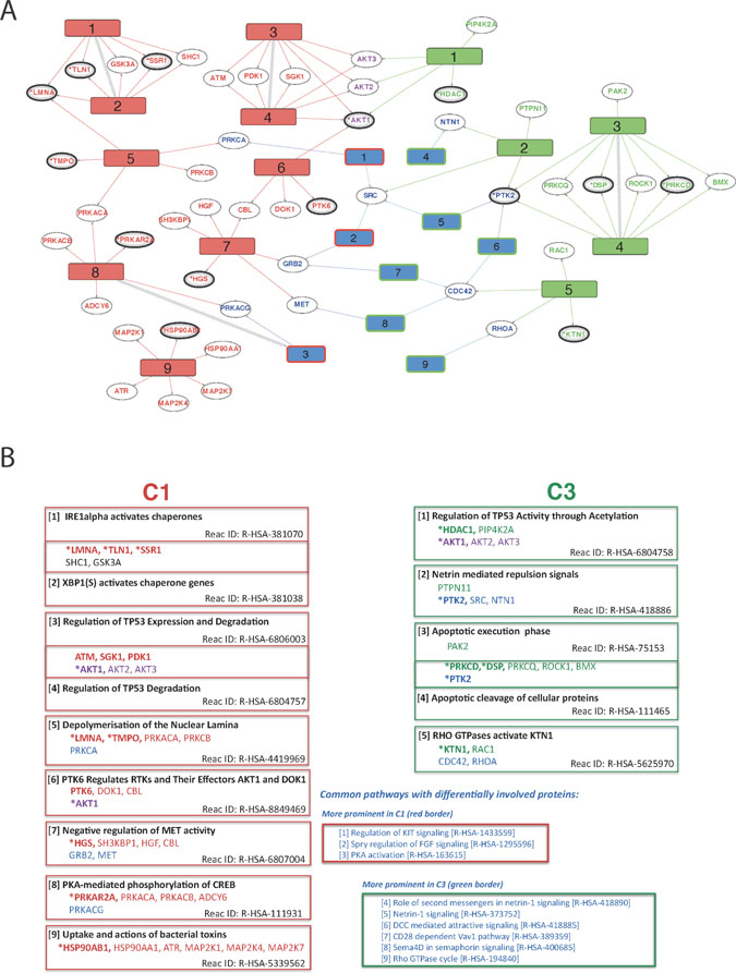 Overview of differentially regulated pathways derived from comparisons of WT vs FUS (C1) and WT vs WT-FGF (C3).