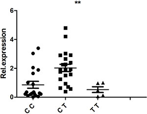 The influence of TNFSF15/rs4246905 genotypes (CC: N = 21, CT: N = 19, TT: N = 5) on the mRNA expression of TNFSF15 by PBMCs obtained from healthy genotyped individuals.