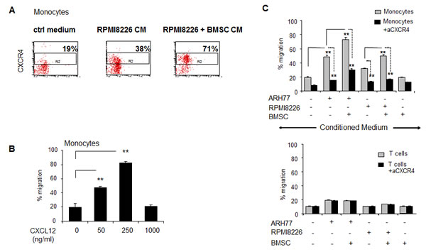 Peripheral blood monocytes respond in a CXCR4-dependetnt manner to MM-induced migratory signals and demonstrate dose-dependent migratory ability in response to CXCL12.