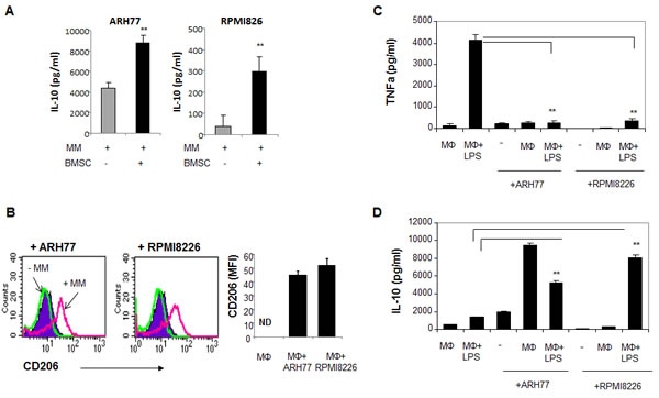 MM cells affect macrophage polarization, promote M2 phenotype acquisition and block M1 response in LPS-treated macrophages.