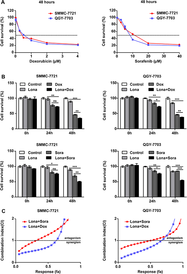 Lonafarnib displays a synergistic effect with doxorubicin and sorafenib.