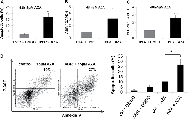 ABR overexpression enhances azacitidine-induced apoptosis.