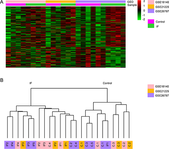 Genes differentially expressed in endometrium between IF and control patients across three datasets.