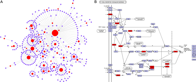 The network analysis of down-regulated genes in endometrium of IF patients.