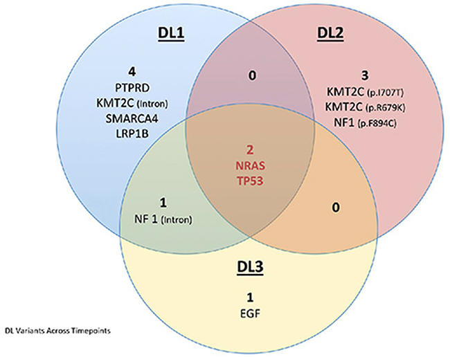 Venn diagram depicting the variants identified in the three DL samples using the targeted ECCP.
