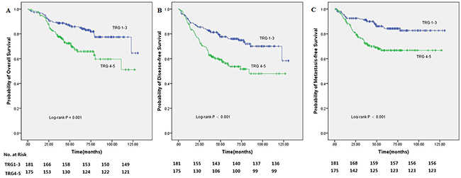 Kaplan-Meier analysis of 356 rectal cancer patients treated with preoperative radiotherapy (30 Gy in 10 fractions) followed by surgery with curative intent according to tumor regression grade (TRG1-3/TRG4-5) showed statistically significant difference.