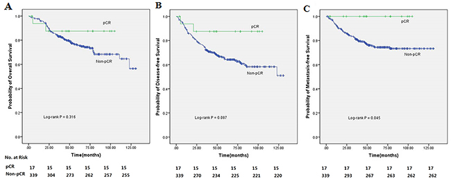 Kaplan-Meier analysis of 356 rectal cancer patients treated with preoperative radiotherapy (30 Gy in 10 fractions) followed by surgery with curative intent according to pCR (pCR/non-pCR).