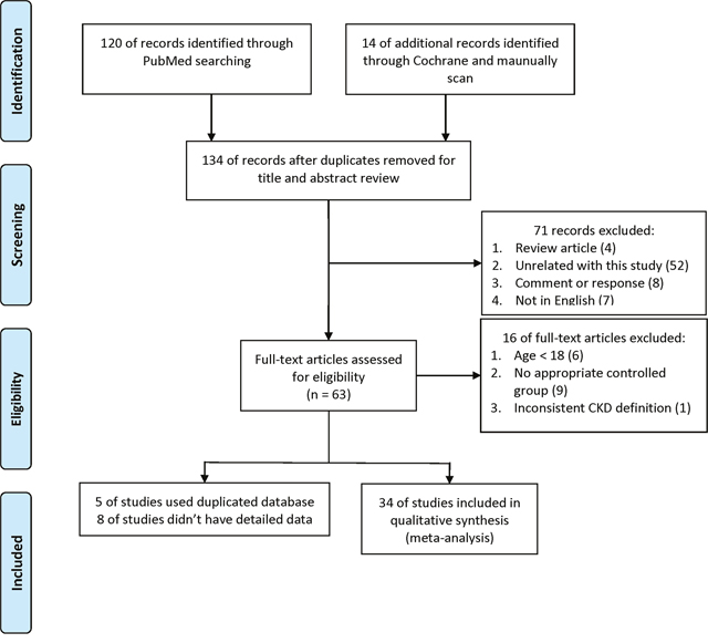 Flow diagram showing the study identification process.