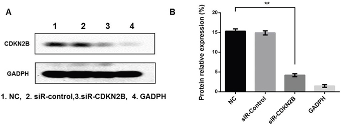 Figure 6: