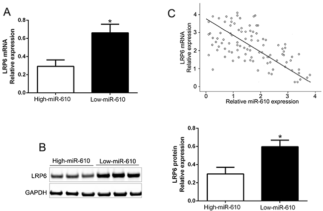 Inverse relevance between miR-610 and LRP6 expression in melanoma.