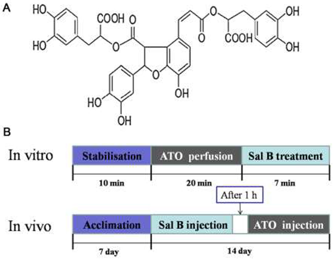 Sal B molecular structure.