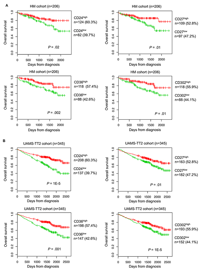 Prognostic value of CD24, CD27, CD36 and CD302 expression level in patients with MM.