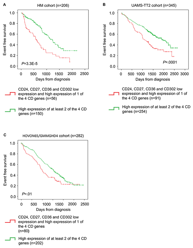 CD gene risk score predicts event-free survival in patients with MM.