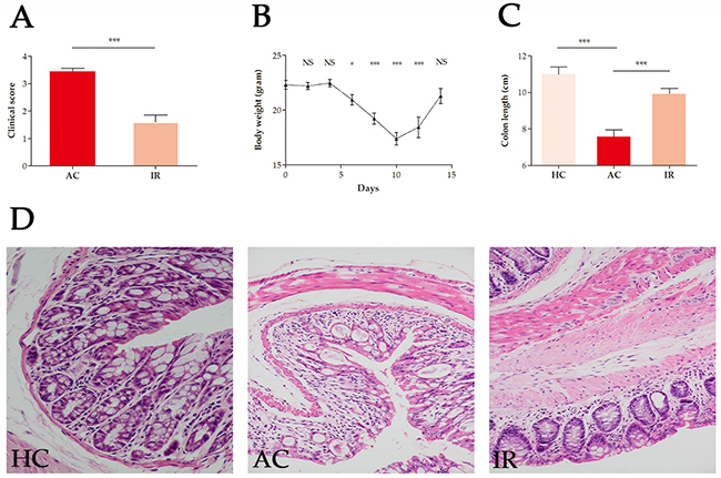 Evaluation of disease severity during DSS-induced colitis in mice.