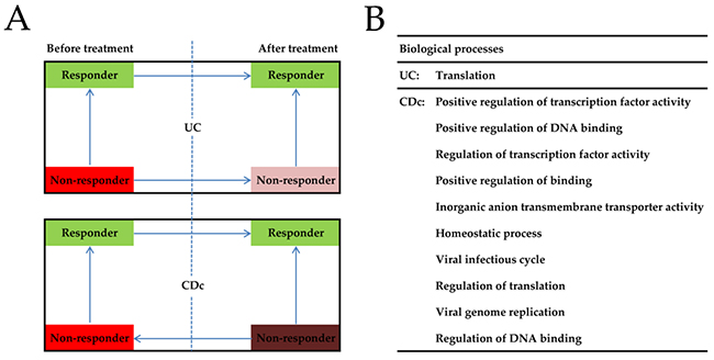 Bioinformatics analysis of the role of TNF in UC and CDc.
