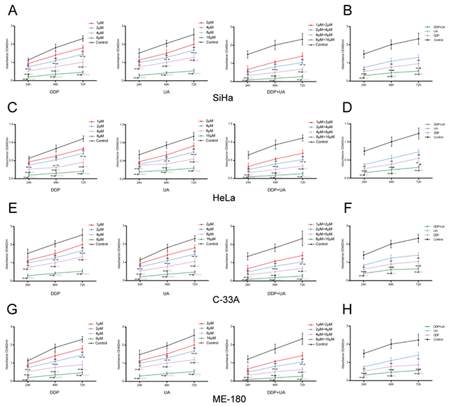 UA enhanced DDP-induced proliferation inhibition of cervical cancer cell lines.