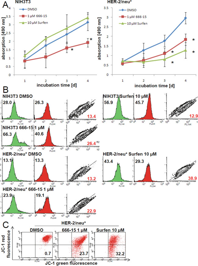 Inhibition of the mitochondrial activity and increased amount of dysfunctional mitochondria by CREB inhibitors 666-15 and surfen.