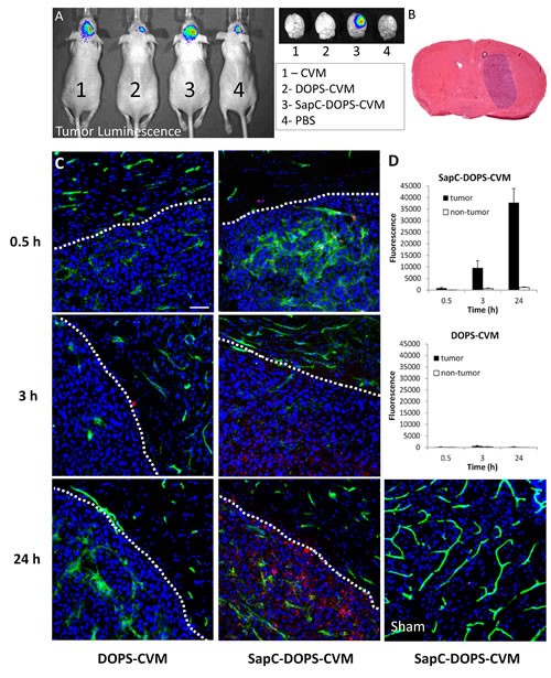 Figure 1: