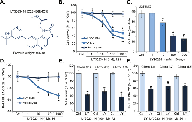 LY3023414 inhibits human glioma cell survival and proliferation.