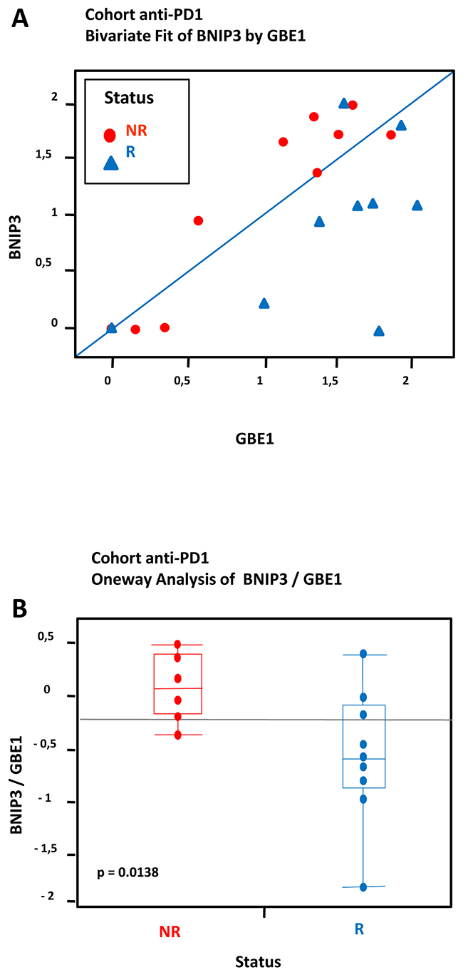 Hypoxia-associated gene expression in a cohort of 19 FFPE tumors from melanoma patients treated with anti-PD1: Data from transcriptional analysis by NanoString from 19 melanoma cases analyzed by statistical method based on differential pair analysis.