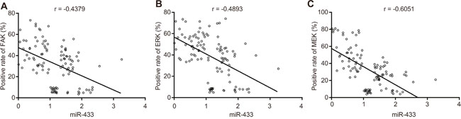 Correlation analysis among miR-433, FAK, ERK, and MEK.