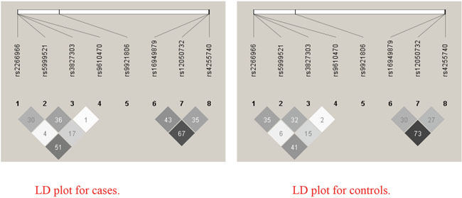 Linkage disequilibrium (LD) based haploview r2 plot.