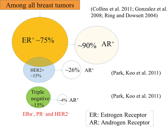 Breast tumor subtypes.