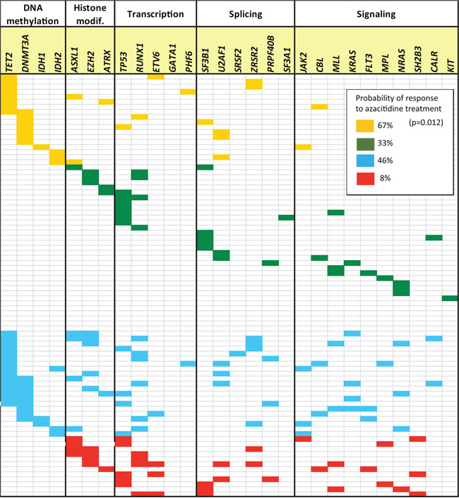 Spectrum of mutations in the 84 patients with myelodysplastic syndrome (MDS) (where each row represents a single patient).