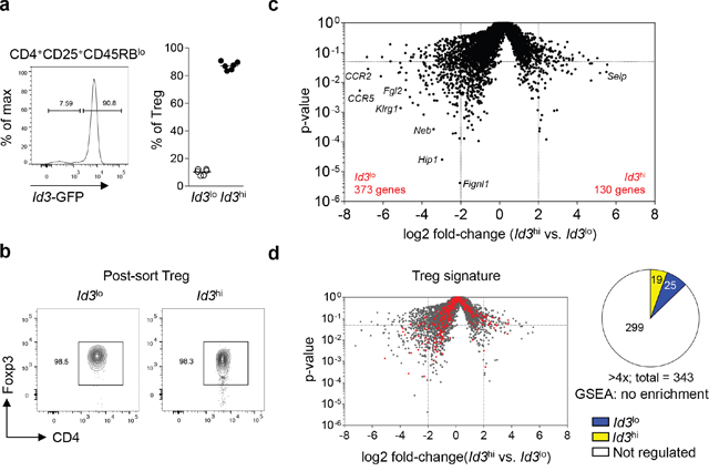 Id3 expression separates Treg cells into two a transcriptionally distinct populations.