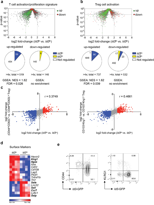 Id3lo Treg cells express a transcriptional profile resembling activated Treg cells.