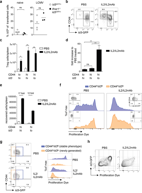 Differentiation into Id3lo Treg cells is promoted by IL2 signaling.