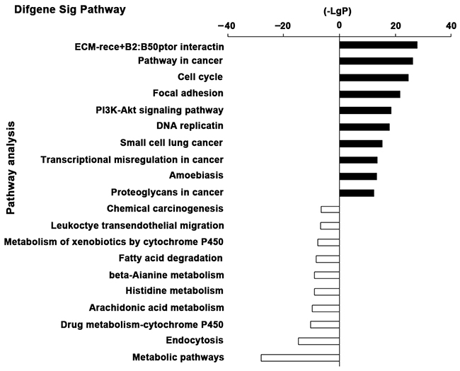 The top 10 significant pathways of the DEGs.