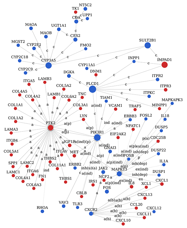 Signal network (Signal-net) analysis.