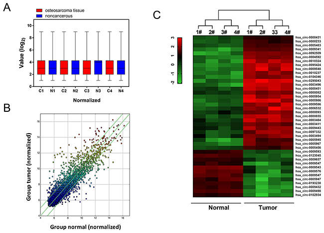 Circular RNA microarray expression profiles of osteosarcoma tissue and adjacent normal tissue.
