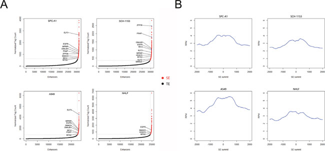 SE scatter plots and histograms of H3K27ac signal distribution in 4 cell lines.