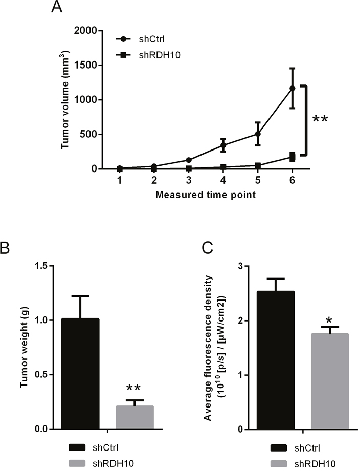 in vivo xenograft models confirmed the effect RDH10 on tumorigenicity.