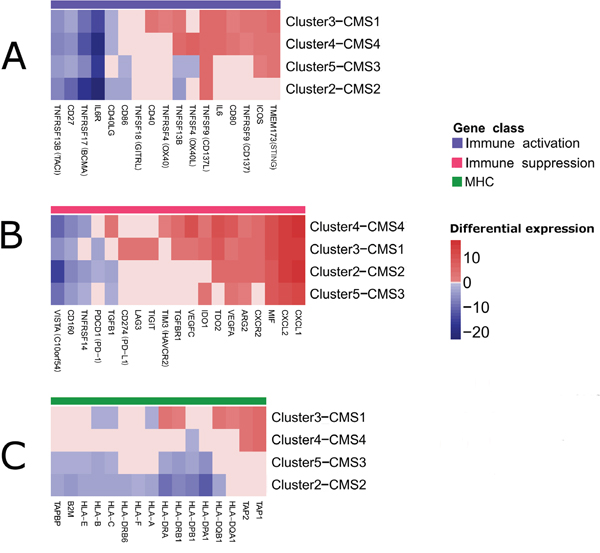 Clustered heatmaps showing selected immune modulators that were significantly deregulated in the tumor epithelial cells as revealed by csSAM [68].