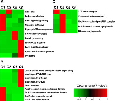 Enrichment and clustering analysis of Lys acetylation proteome regulated by ING5 based on KEGG pathways, protein domains and complexes.