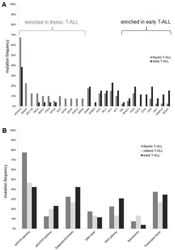 Comparison of mutation frequencies between the different T-ALL subgroups.